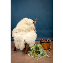 Mouflon en peau de mouton, léger - Celtic Webmerchant