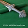 Viking Dybek épée deluxe - Celtic Webmerchant