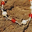 Römische Halskette mit roten Steinen - Celtic Webmerchant