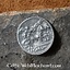Moneda romana de Augustus César - Celtic Webmerchant