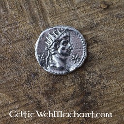 Romeins muntenpakket denarii - Celtic Webmerchant