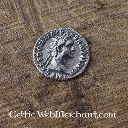 paquet de pièces de monnaie romaine denarii - Celtic Webmerchant