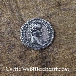 Roman monety zestaw denarów - Celtic Webmerchant