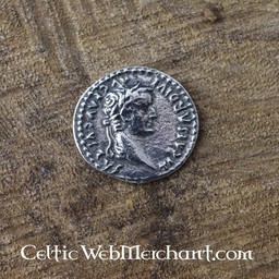 Roman Münzsatz denarii - Celtic Webmerchant