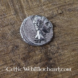 Roman monety zestaw denarów - Celtic Webmerchant