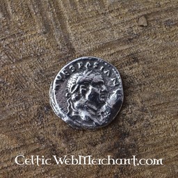 pacchetto moneta romana denarii - Celtic Webmerchant