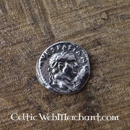 Romerska mynt set denarer - Celtic Webmerchant