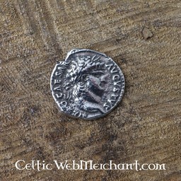 paquet de pièces de monnaie romaine denarii - Celtic Webmerchant