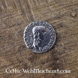 Romeinse denarius pakket Claudius - Celtic Webmerchant