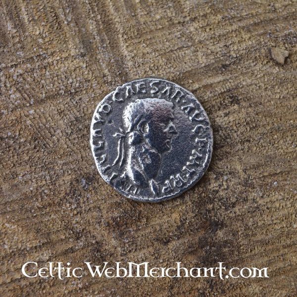 Download Roman denarius pack Claudius - CelticWebMerchant.com