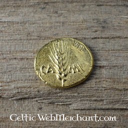 Celtic moneta Cunobelinus - Celtic Webmerchant