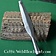 Marshal Historical Spearhead 30 cm - Celtic Webmerchant