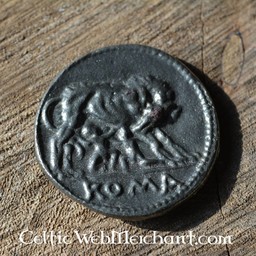 Römische Münze Caesar - Celtic Webmerchant