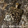 Pendant hounds of Cú Chulainn - Celtic Webmerchant