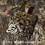 Caractère ornemental Bronze chiens Cûchulainn - Celtic Webmerchant