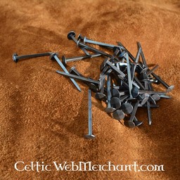 Gwoździe 5 cm (50 sztuk) - Celtic Webmerchant