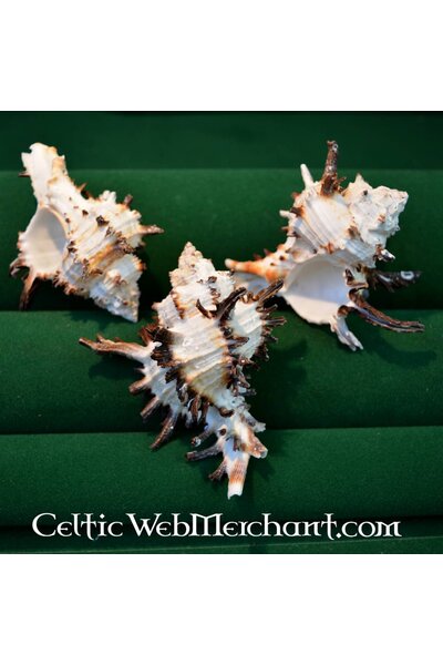 viola lumaca - Celtic Webmerchant