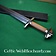 Viking sword Eostre - Celtic Webmerchant
