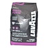 Lavazza Expert Gusto Forte Bohnen 1 kg Jetz € 14,90