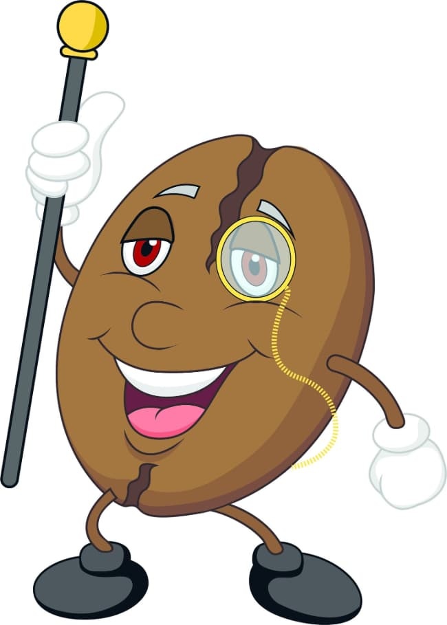 Coffee bean illustration