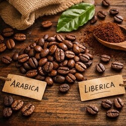 Arabica en Robusta Blends: Krachtige smaak en perfecte crema