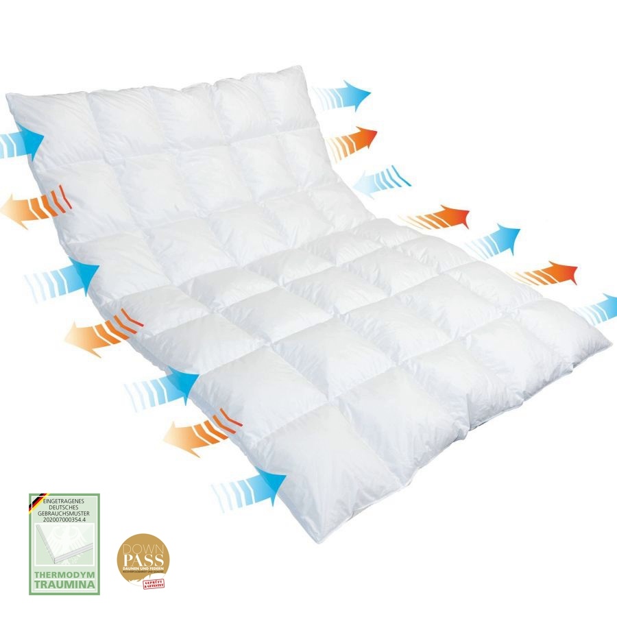 Traumina Breeze Duo Duvet Down Warm Wk 4 Teppich Hemsing