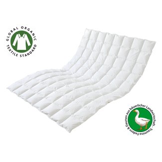 Traumina Bettwaren Traumina | Plume Bio Daune | WK 1 | Füllung: 100% Daunen Traumina Bettwaren Traumina | Plume Bio Daune | WK 1 | Füllung: 100% Daunen