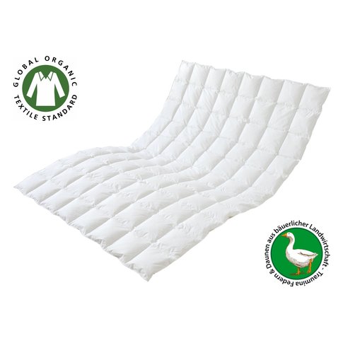 Traumina  Bettwaren Traumina | Plume Bio Down | WK 2 | 100% Down