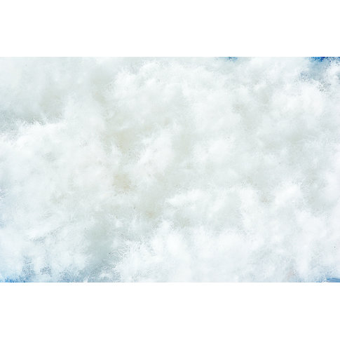 Traumina  Bettwaren Traumina | Plume Organic Down | Medium WK 3, in various warmth levels and sizes!