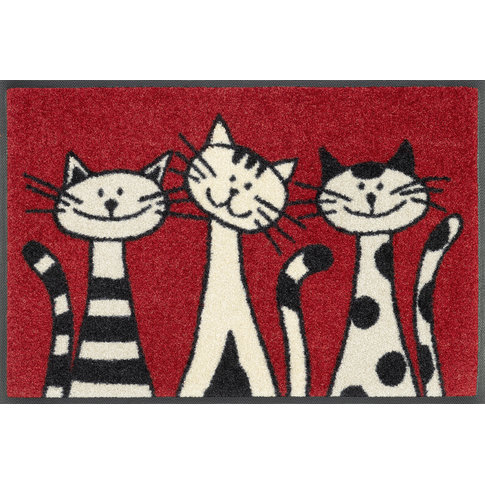 Kleen-Tex-Fußmatten wash+dry  Fußmatte |  Three Cats | ...waschbare Matte mit Gummirand!