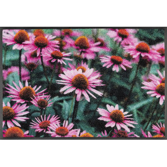 Kleen-Tex-Fußmatten wash+dry doormat | Purpurea |...washable mat with rubber edge!