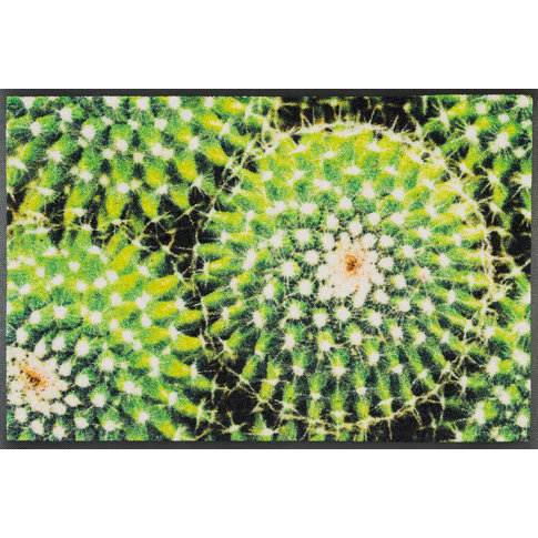 Kleen-Tex-Fußmatten wash + dry doormat | Spiny Green | ... washable mat with rubber rim!