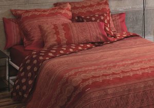 Limited Edition 2022-23 Limited Edition 2022-23