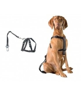 Duvo+ Auto Veiligheidsharnas met gordel voor hond maat XS 20-50cm