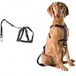 Duvo+ Auto Veiligheidsharnas met gordel voor hond maat L 70-90cm