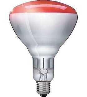 Philips Warmtelamp rood  e27