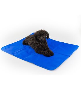 ProCyoN Koelmat  quick cooler - hondenmat -110x70 cm. - blauw
