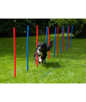 ProCyoN Agility slalom set 12 delig