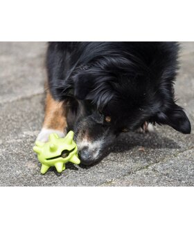 ProCyoN Hondenspeelgoed snackbal Boomer