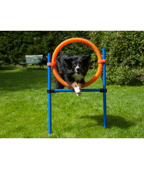 ProCyoN Agility set K2 Tunnel, slalom 4 palen,  Horde en springring