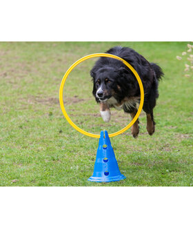 De-Tail Agility Ring Geel  60 cm.