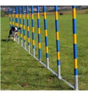 De-Tail Agility  professionele FCI slalom set 12 delig