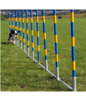 De-Tail Agility  professionele FCI slalom set 12 delig