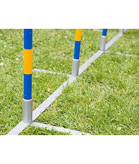 De-Tail Agility  professionele FCI slalom set 12 delig