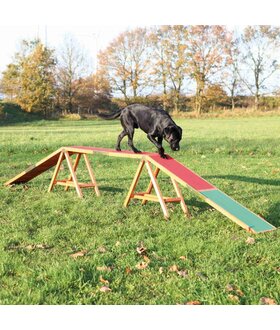 Trixie Agility Kattenloop voor honden tot 80 kg