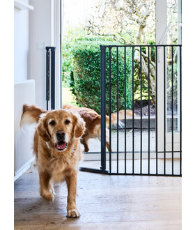 Dogspace  Hondenhek roomdivider  Rocky L