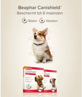 Beaphar Vlooienband en tekenband Canishield hond klein / middel