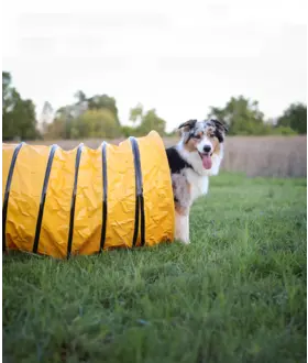 ProCyoN Agility Tunnel met slurf