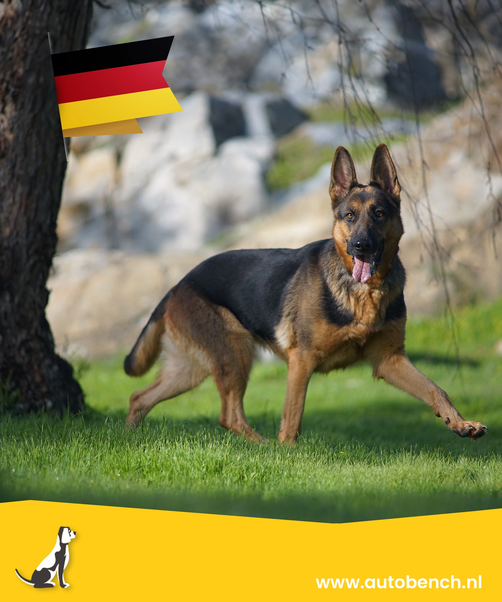 Reizen met jouw hond naar Duitsland Alles wat je moet weten! Autobench.nl