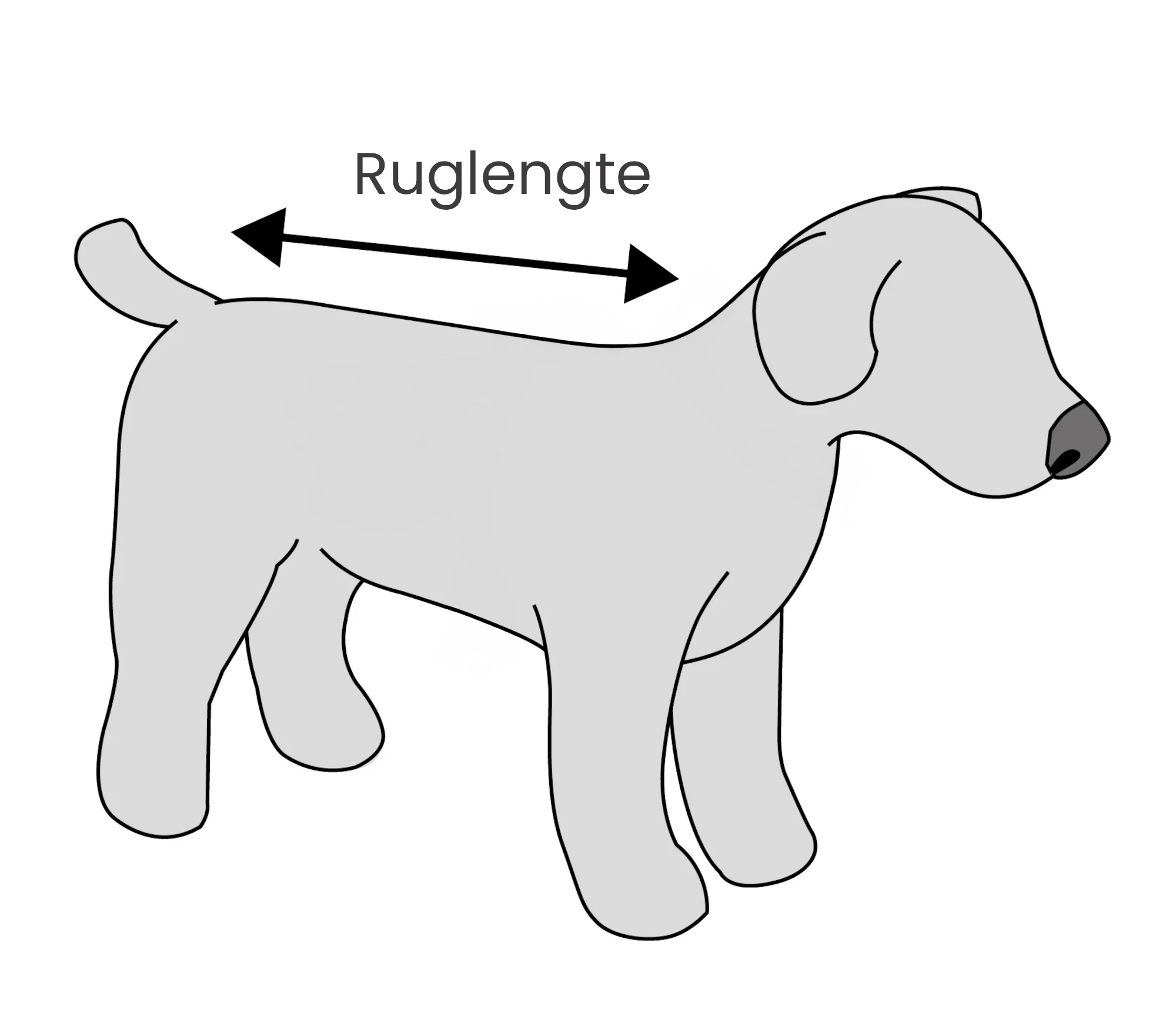 ruglengte